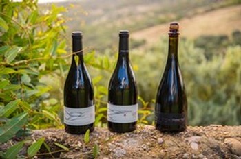 2020 Release Reserves Set (3 bottle gift box)