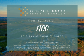 $100 Gift Voucher